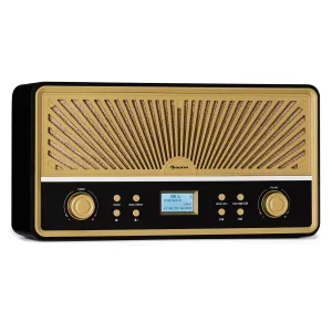 Auna Glastonbury Go, digitalni radio, stereo, Li-Ion baterija, BT, DAB/UKW, MP3, USB, Line-In #5449