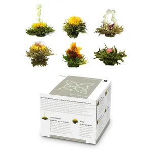Feelino Cvjetovi čaja, 6 različitih sorti, pojedinačno pakirani, vrlo produktivni