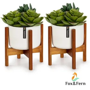 Fox & Fern Thorn, posuda za cvijeće sa stalkom, 2-dijelni set, stil 1950-ih
