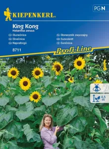 Slunečnice King Kong, Kiepenkerl, semínka