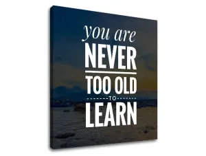 Motivaciona slika na platnu You are never too old (moderne)