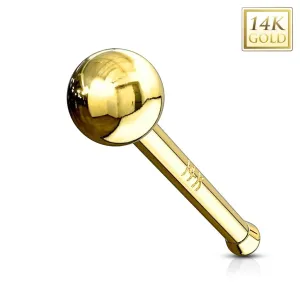 Ravni 14K zlatni piercing za nos - sjajna glatka loptica, žuto zlato - Širina piercinga: 0,8 mm