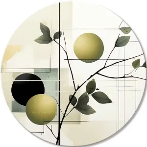 Okrugle slike s akrilom Plantaža maslina | different dimensions