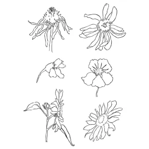 Providni pečati - livadsko cvijeće (silikonski pečati)