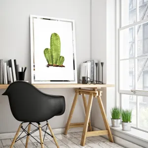 Slika na zrcalu Kaktus Mirrora 68 - 60x40 cm (Slike Mirrora)