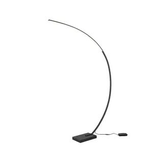 Dizajn podna svjetiljka crna s LED diodom - Dina