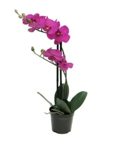Umělá orchidej Bora, v květináči, 2 výhony, fialová, výška 50 cm