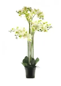 Umělá orchidej Bora, v květináči, 8 výhonů, bílá, výška 110 cm