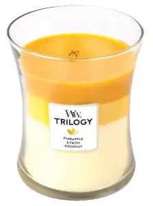 Aromatická svíčka váza, WoodWick Trilogy Fruits of Summer, hoření až 65 hod
