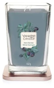 Aromatická svíčka, Yankee Candle Elevation Dark Berries, hoření až 80 hod